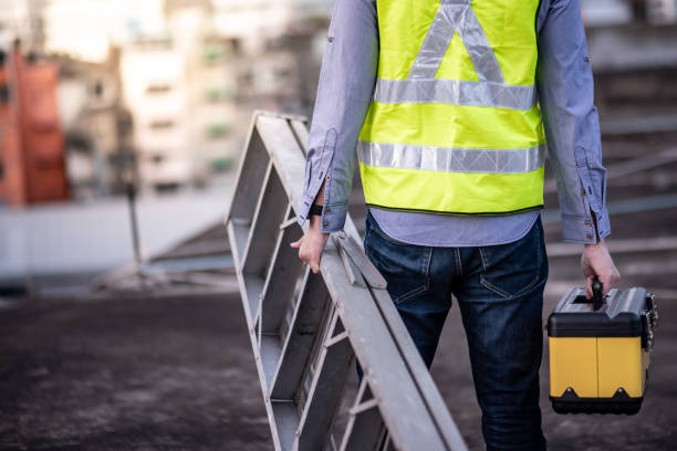 Professional Roof Inspector